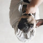 Olla Dog Carrier in Light Grey