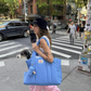 The Little Beast Dog Carrier Baby Blue