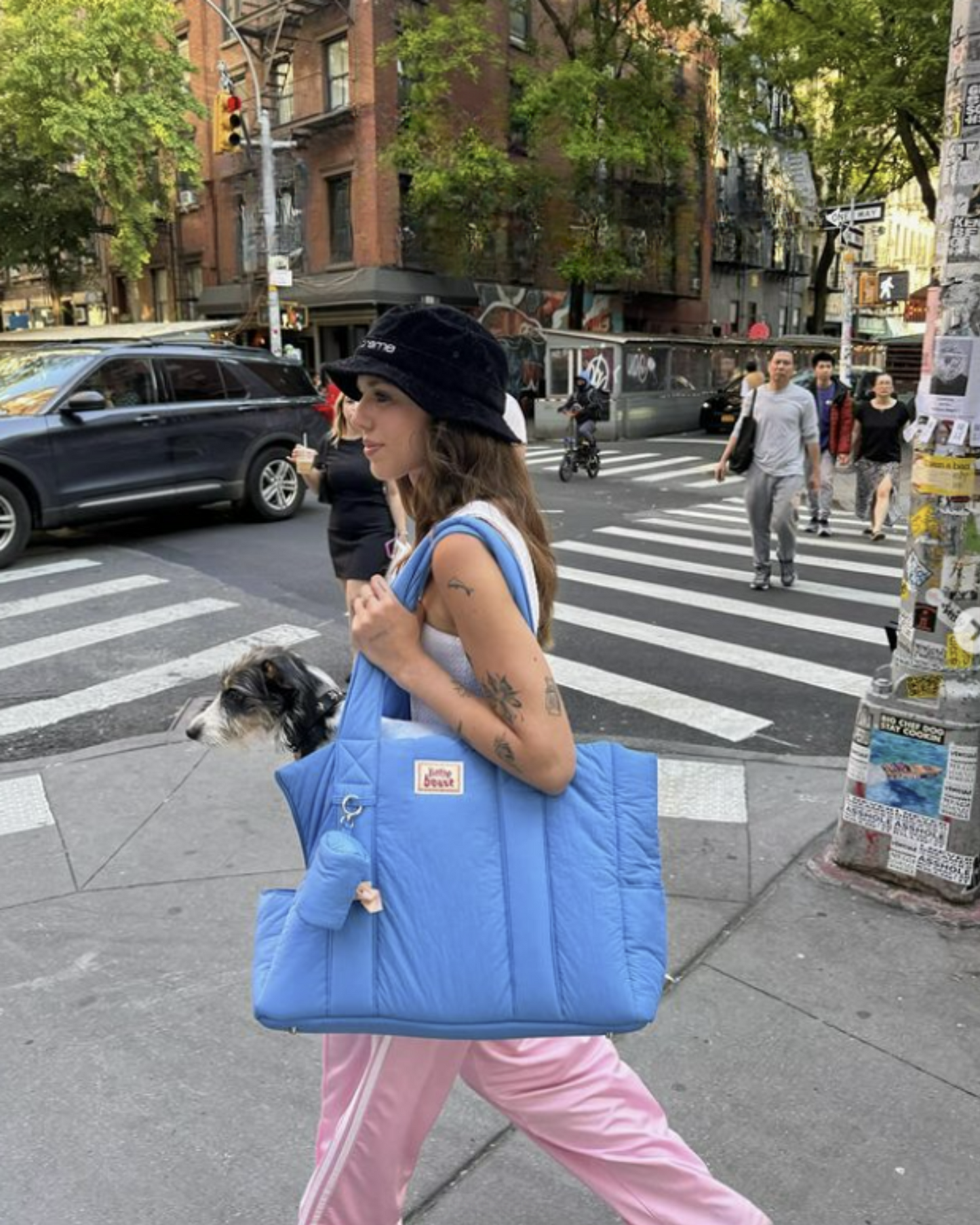 The Little Beast Dog Carrier Baby Blue