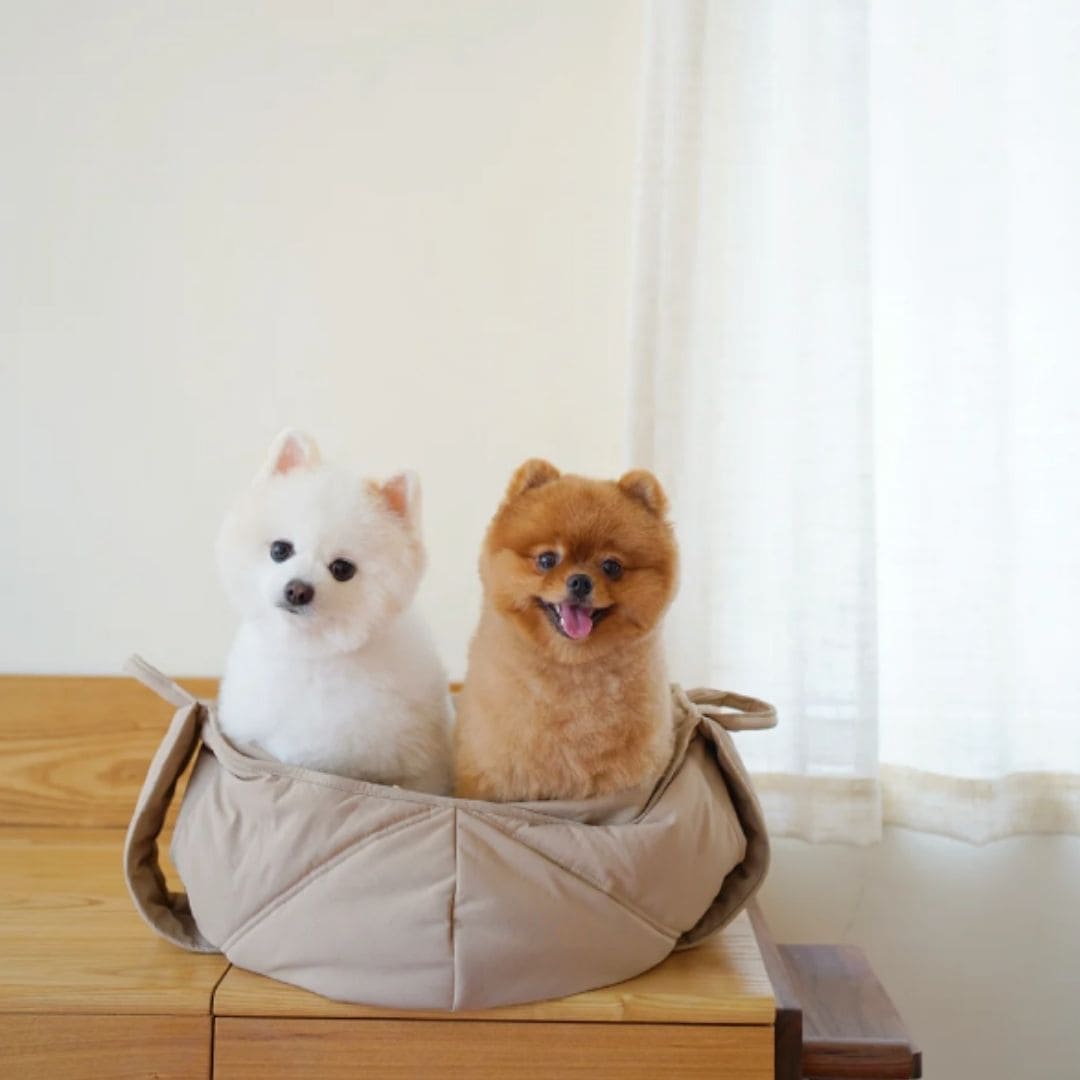 Olla Dog Carrier in Camel