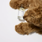 Pet Parfum | D'bacca 169