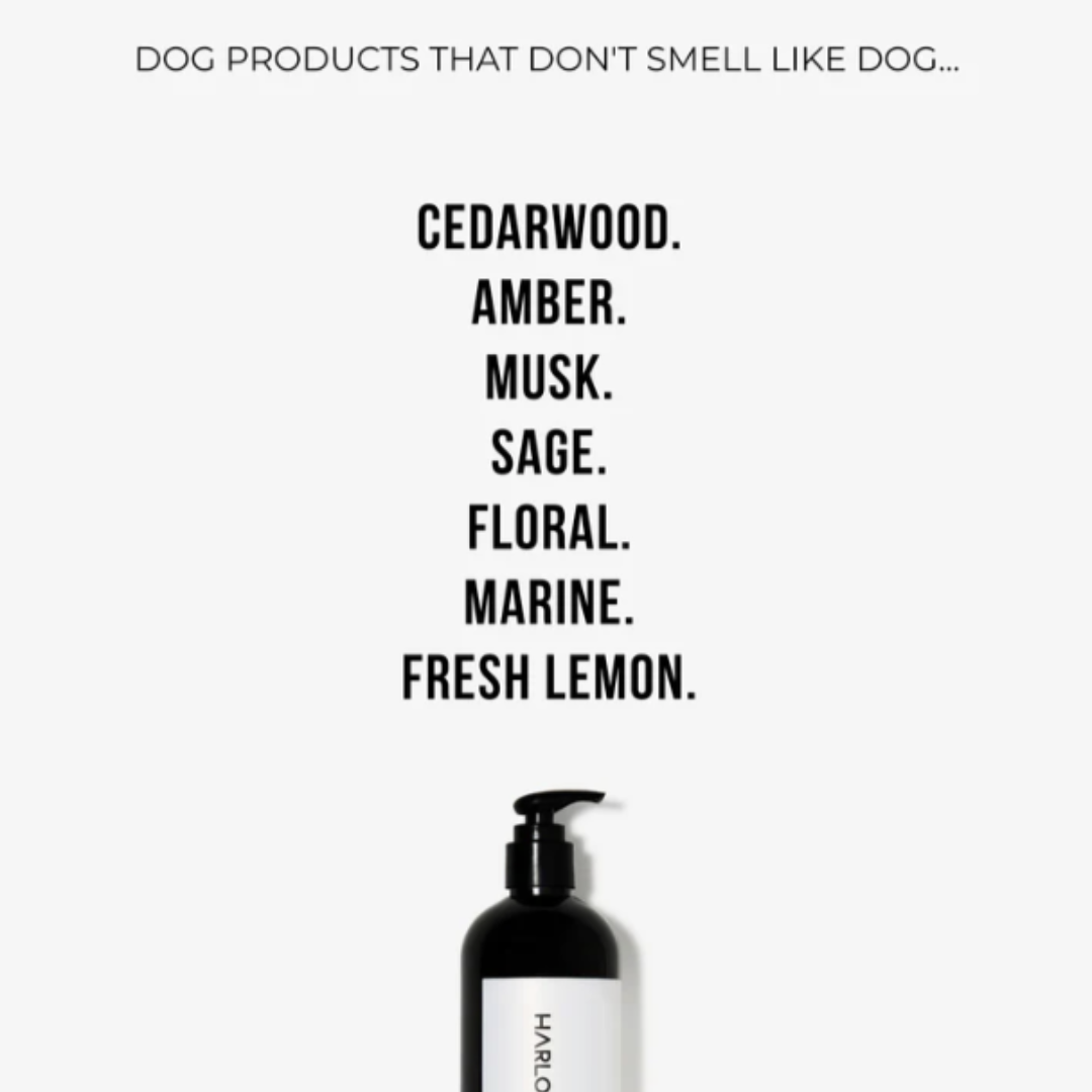 Dog Conditioning Shampoo | Hunter 33