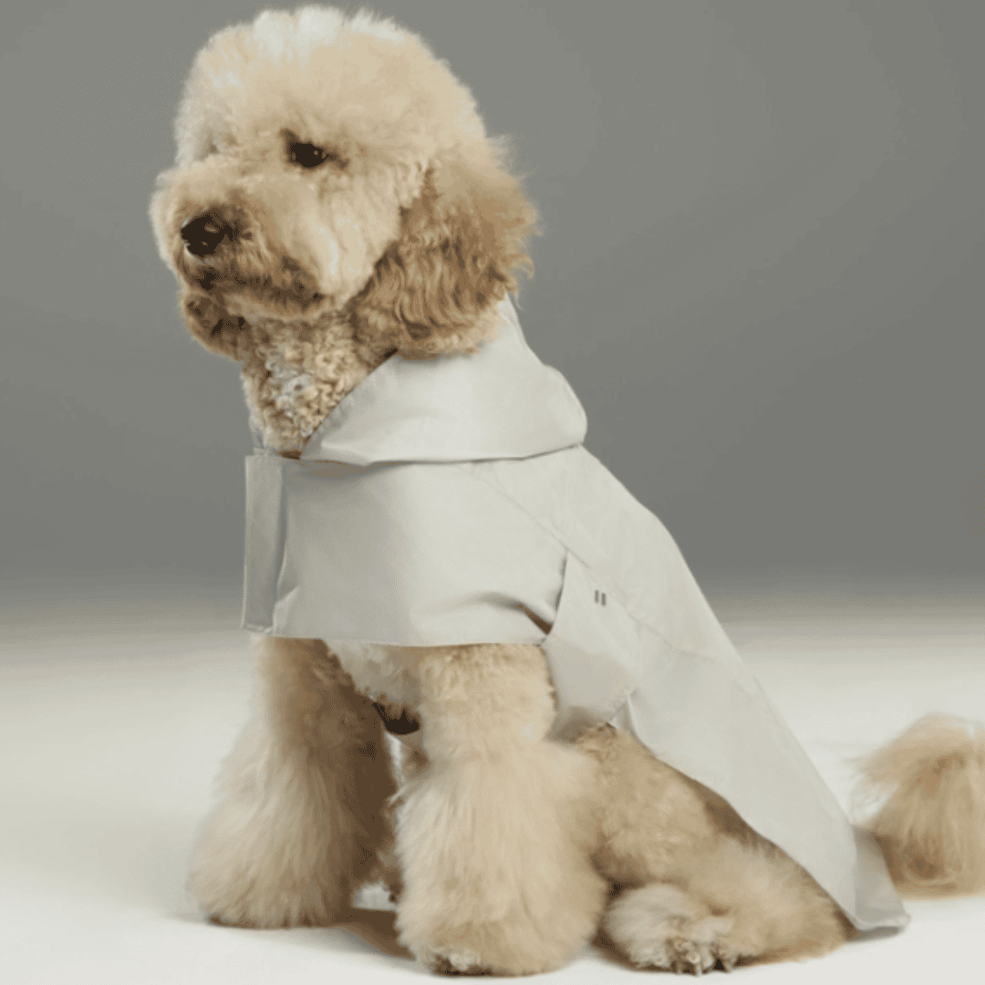 Capsule Dog Raincoat - Beige