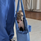 The Little Beast Dog Carrier Baby Blue