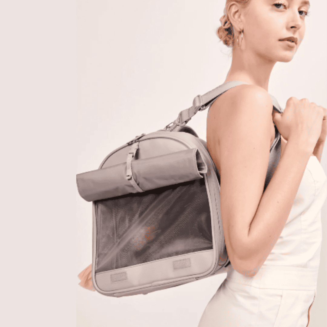All-in-one Airline-Compliant Travel Dog Carrier | Stone
