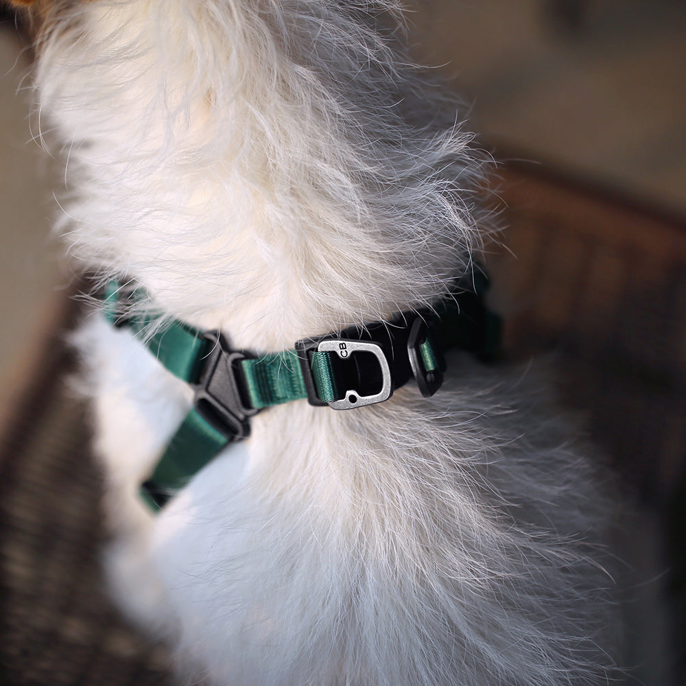 Comfort Dog Harness in Green