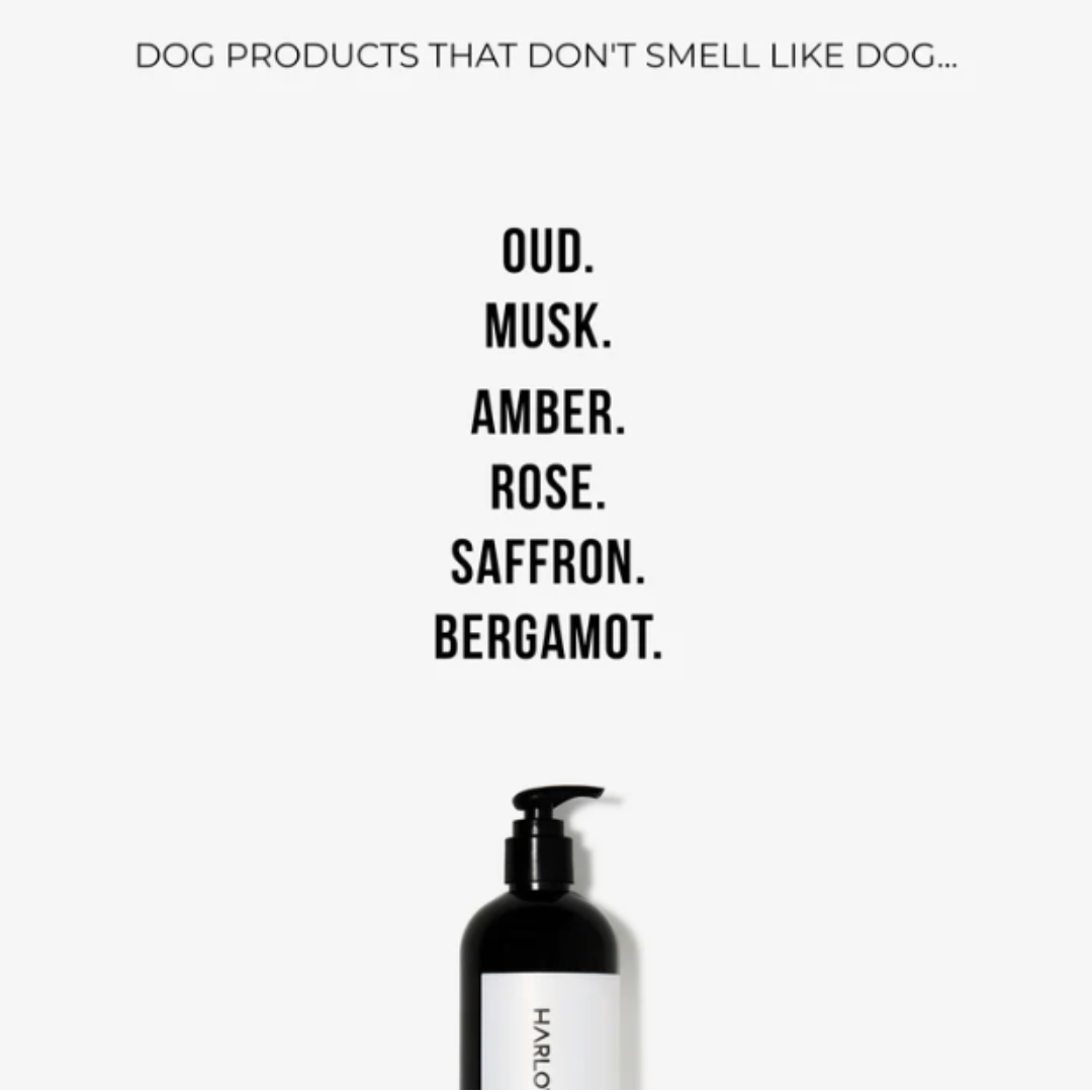 Dog Conditioning Shampoo | Solera 145 (St Argo 191)