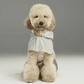 Capsule Dog Raincoat - Beige