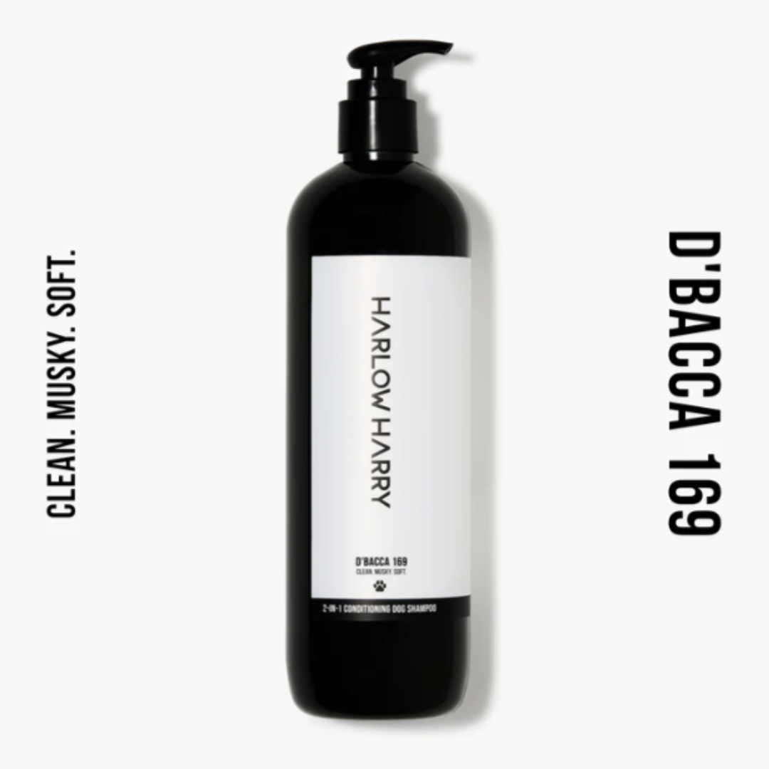 Dog Conditioning Shampoo | D'bacca 169