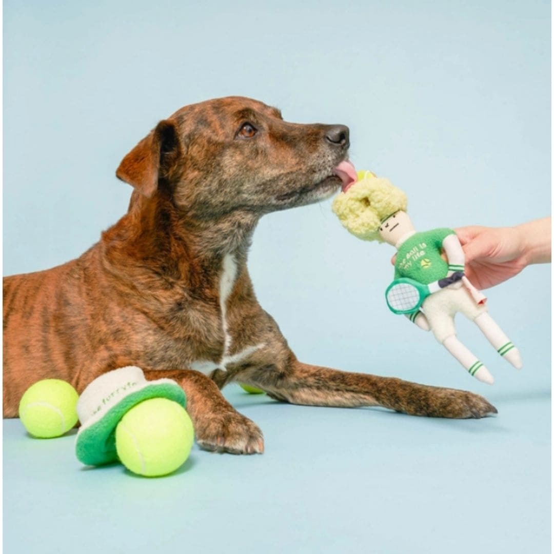 Tennis Hooman Nosework Plush Dog Toy