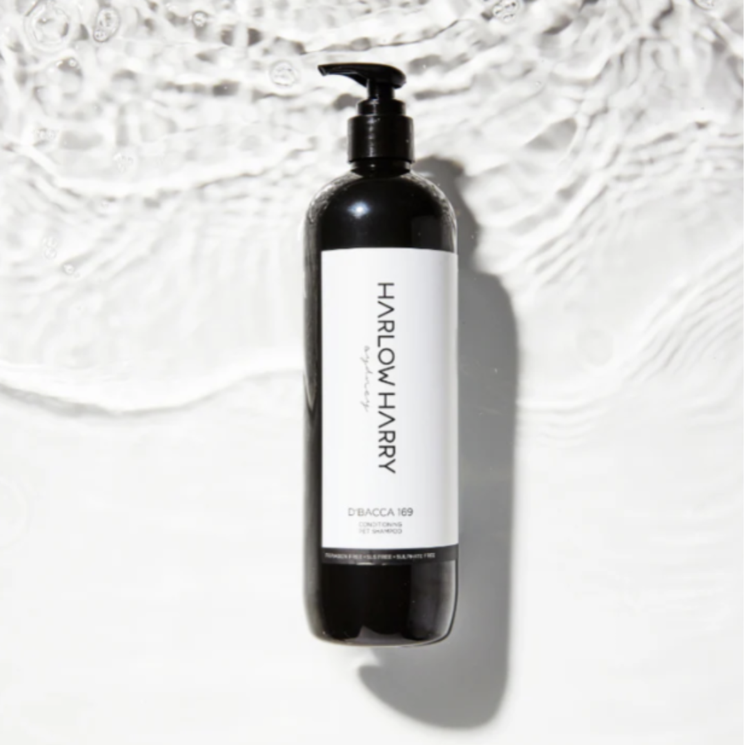 Dog Conditioning Shampoo | D'bacca 169