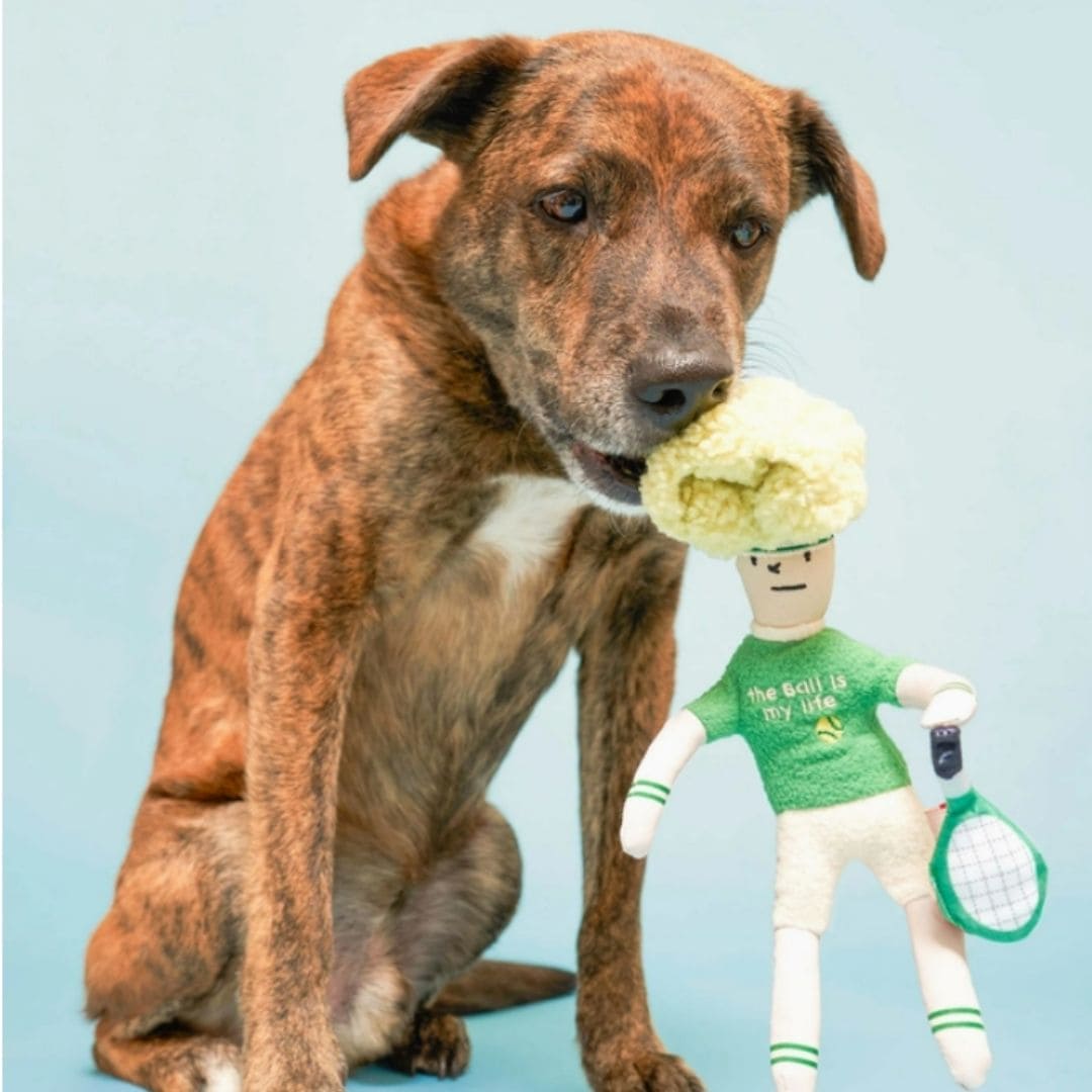 Tennis Hooman Nosework Plush Dog Toy