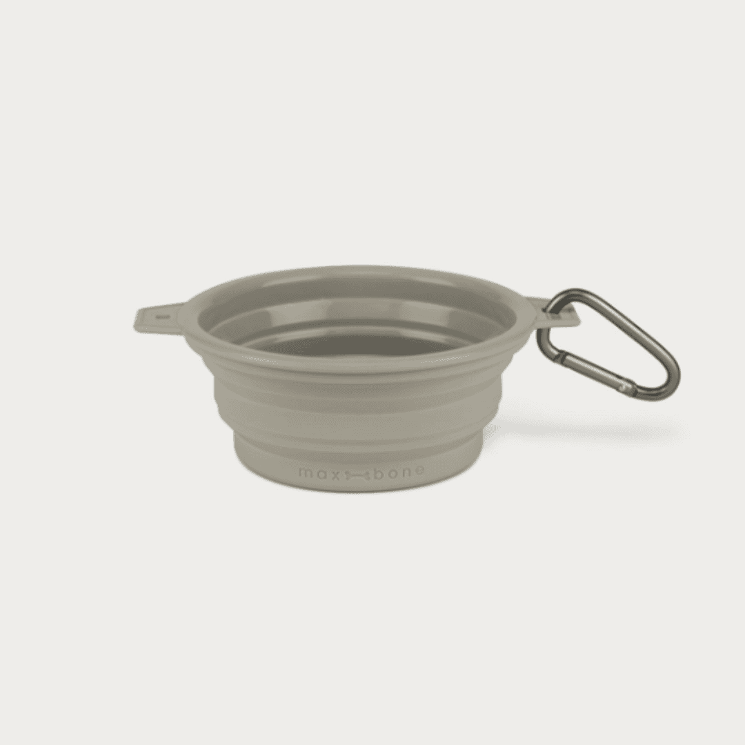 Tubber Travel Dog Bowl | Grey