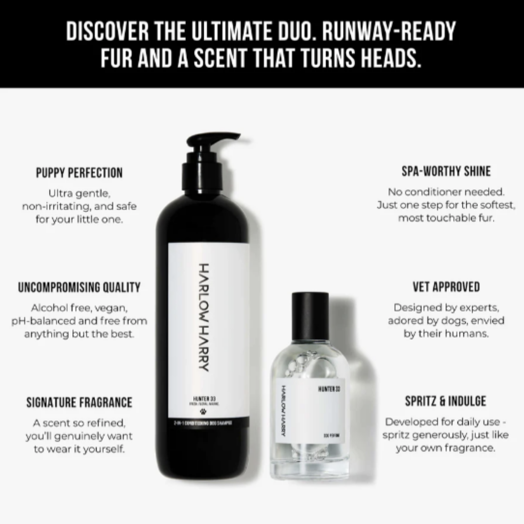 Dog Parfum and Shampoo Set | Hunter 33