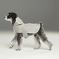Capsule Dog Raincoat - Beige