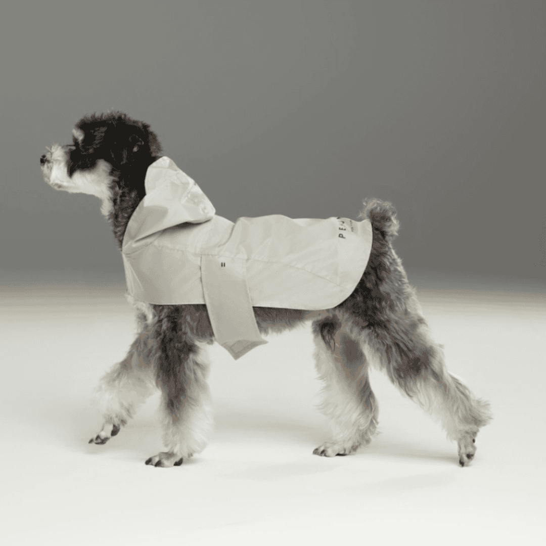 Capsule Dog Raincoat - Beige