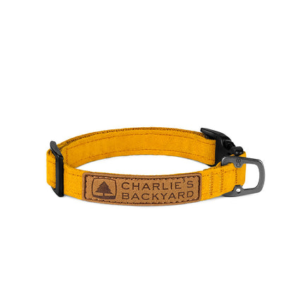 Easy Dog Collar in Yellow