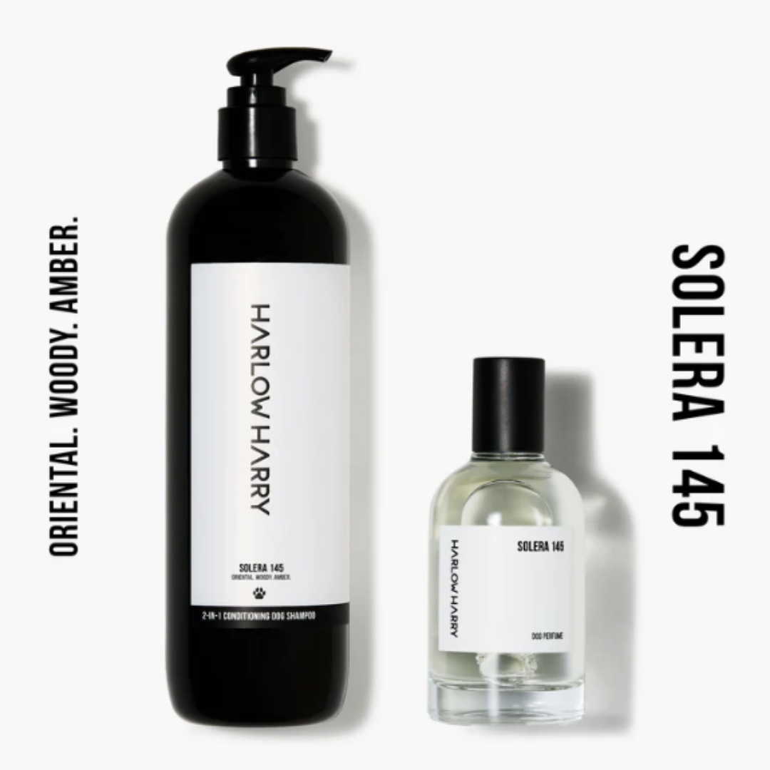 Dog Parfum and Shampoo Set | Solera 145 (St Argo 191)
