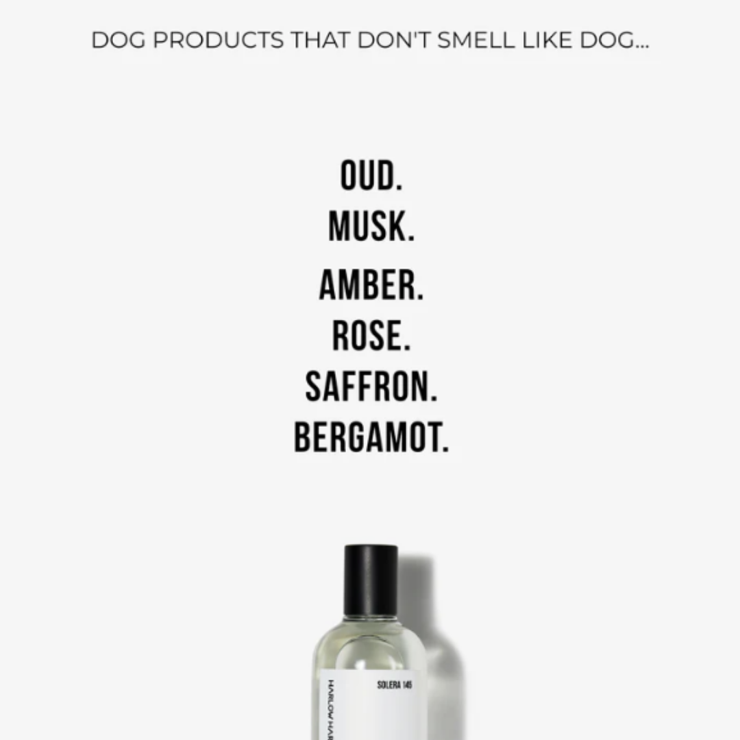 Dog Parfum and Shampoo Set | Solera 145 (St Argo 191)