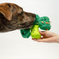 Broccoli Nose Work Plush Dog Toy