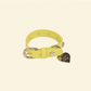 Buttercup Leather Dog Collar