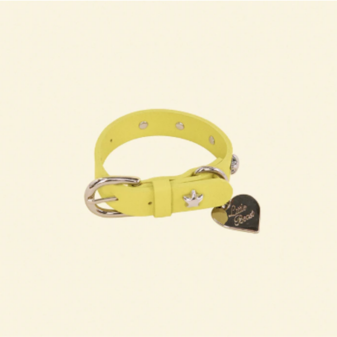 Buttercup Leather Dog Collar