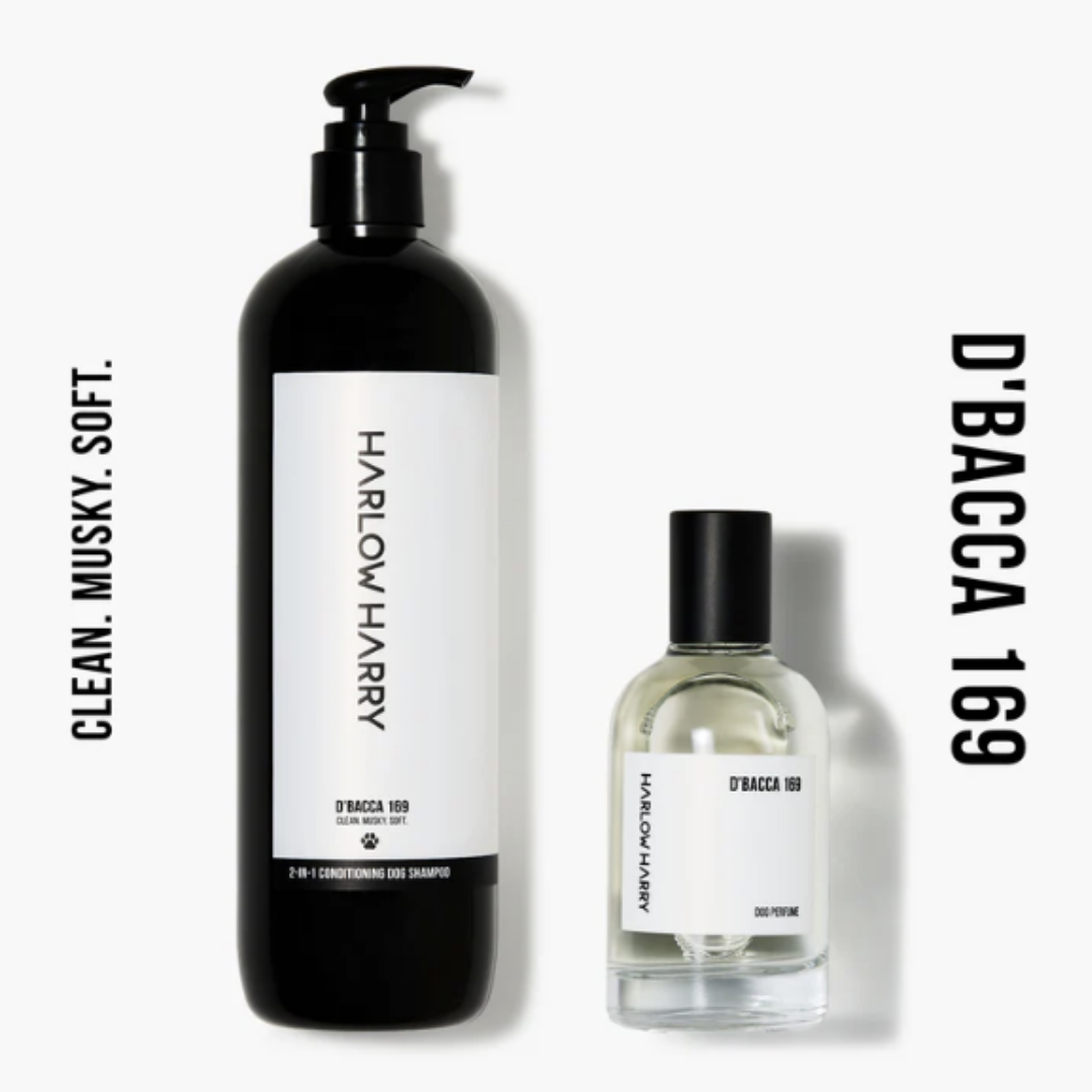 Dog Parfum and Shampoo Set | D'bacca 169