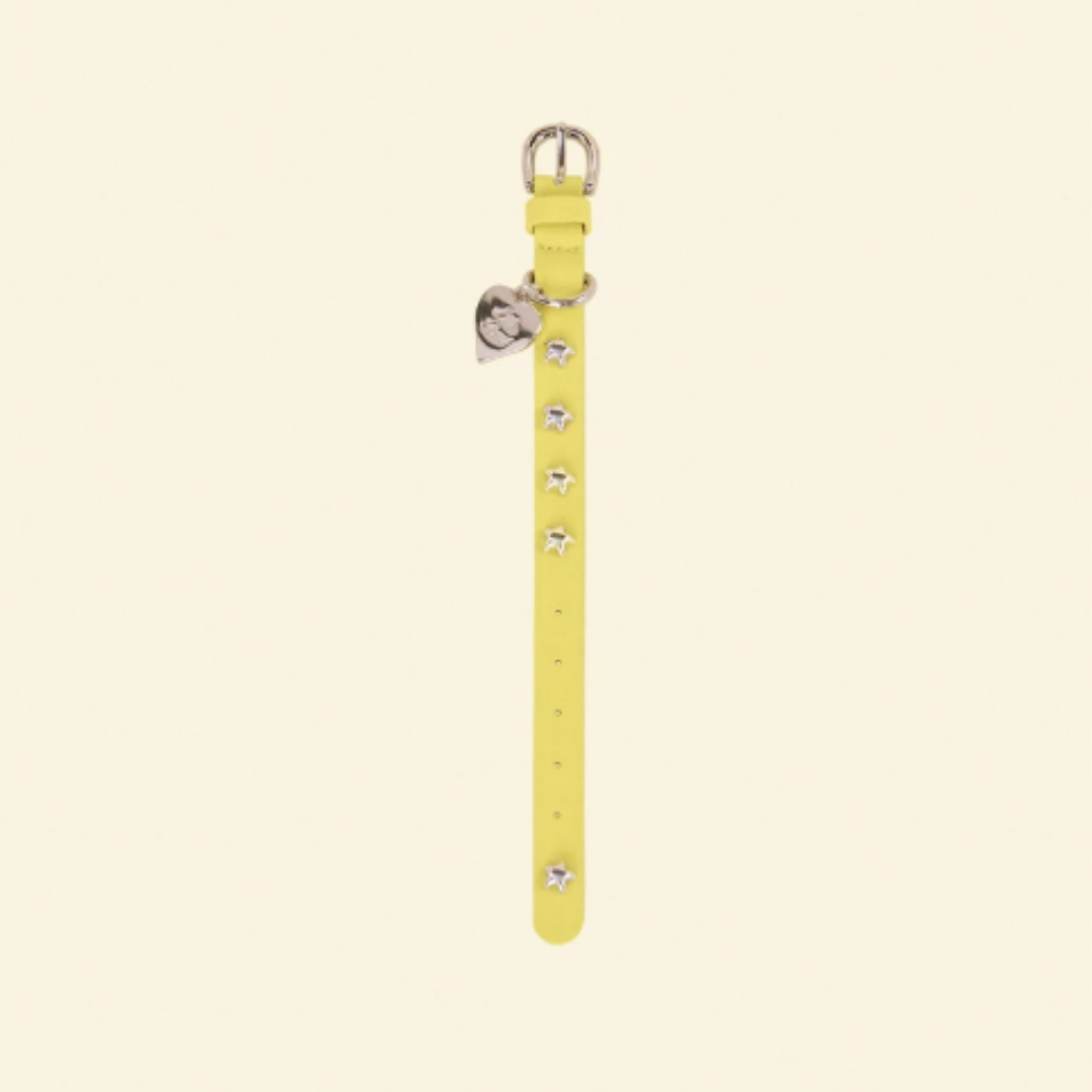 Buttercup Leather Dog Collar