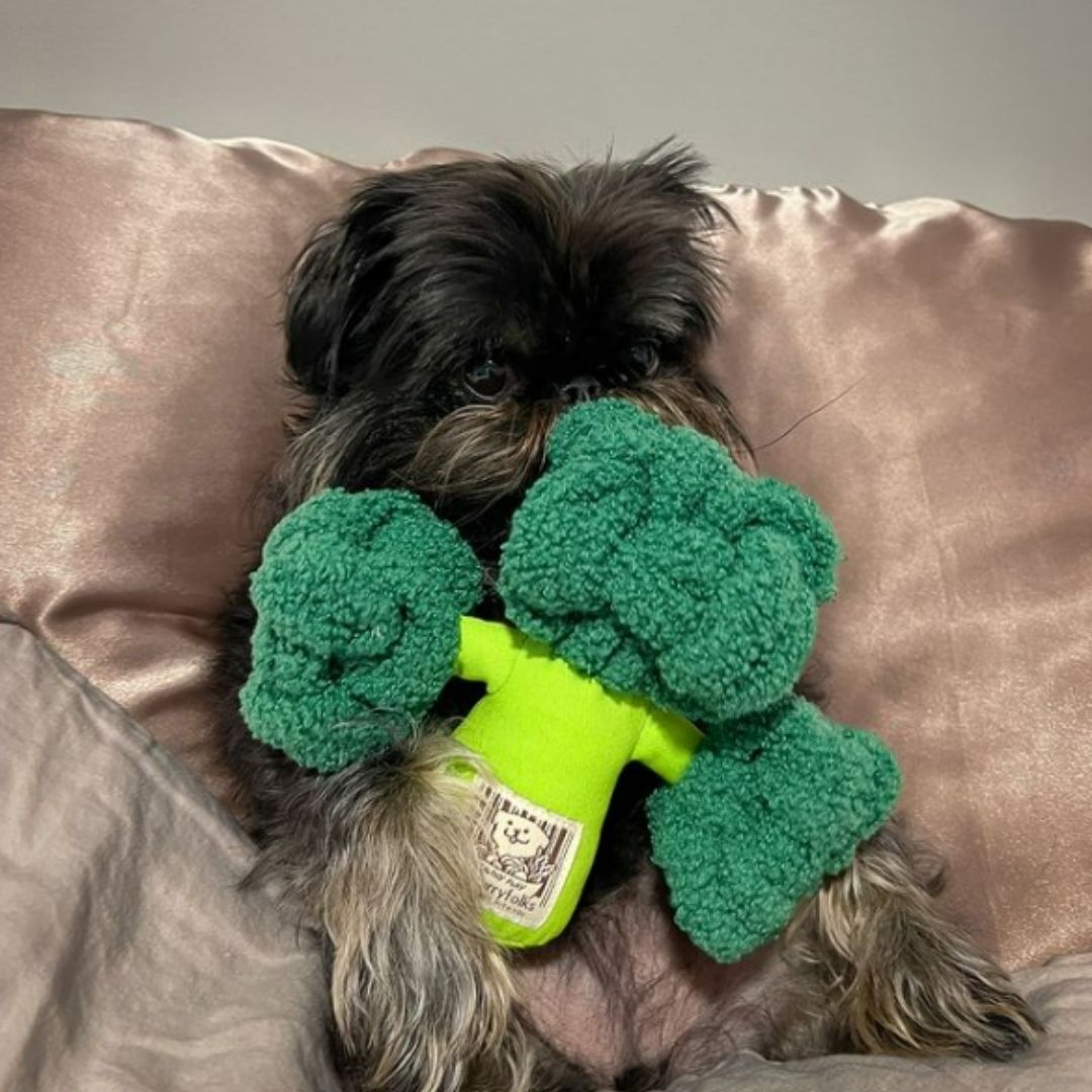 Broccoli Nose Work Plush Dog Toy