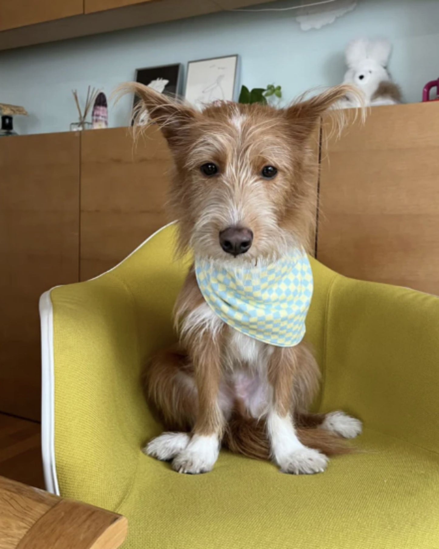 Calm and Collected Bandana