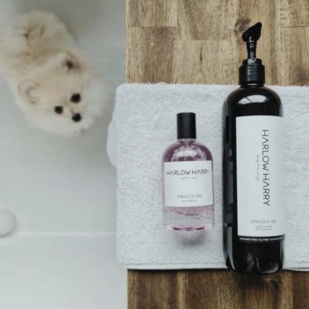 Dog Parfum and Shampoo Set | D'bacca 169
