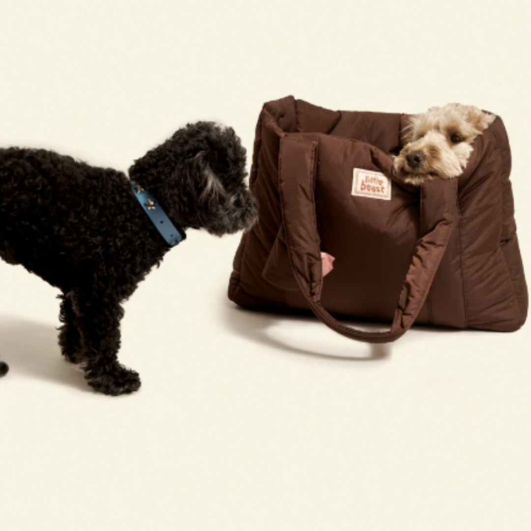 The Little Beast Dog Carrier - Hazel