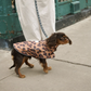 Little Beast Reversible Cougar Raincoat