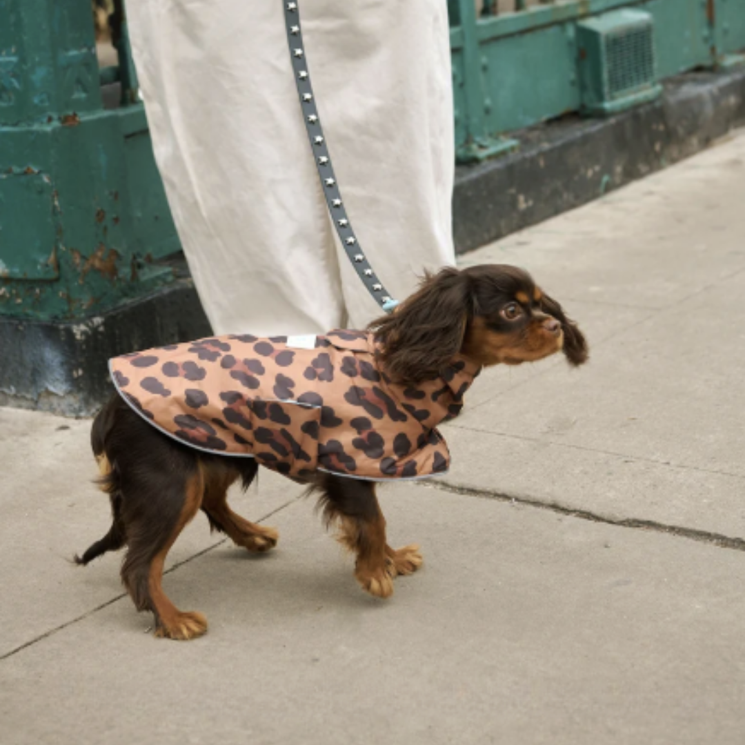 Little Beast Reversible Cougar Raincoat