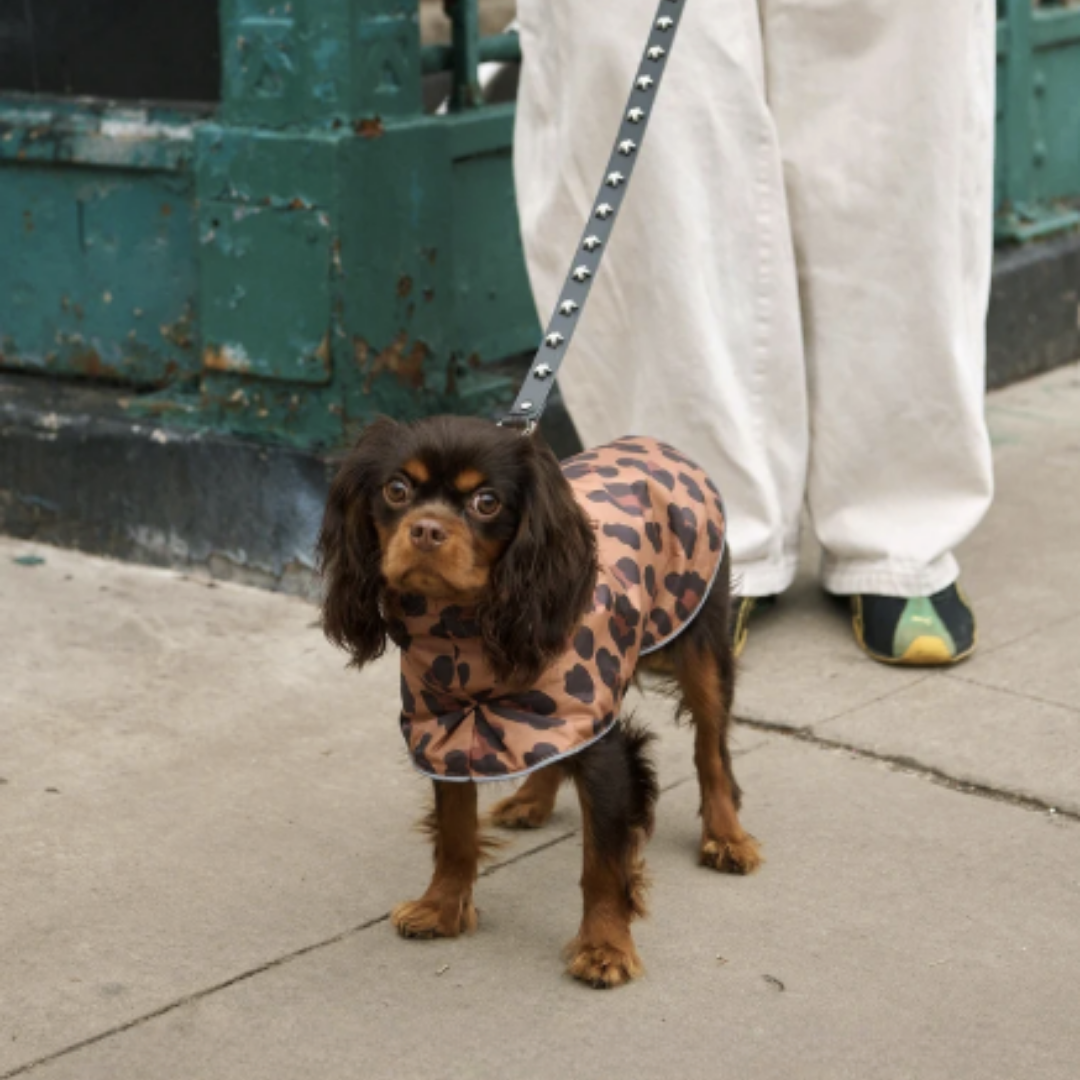 Little Beast Reversible Cougar Raincoat