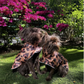 Little Beast Reversible Cougar Raincoat