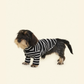 Café in Paris White Striped Sweatshirt in Black