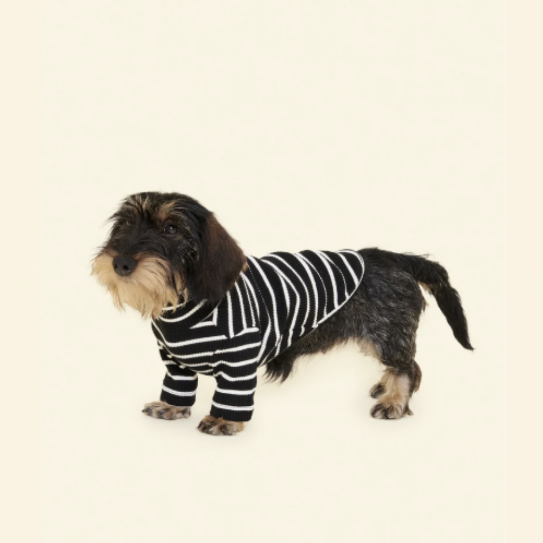 Café in Paris White Striped Sweatshirt in Black