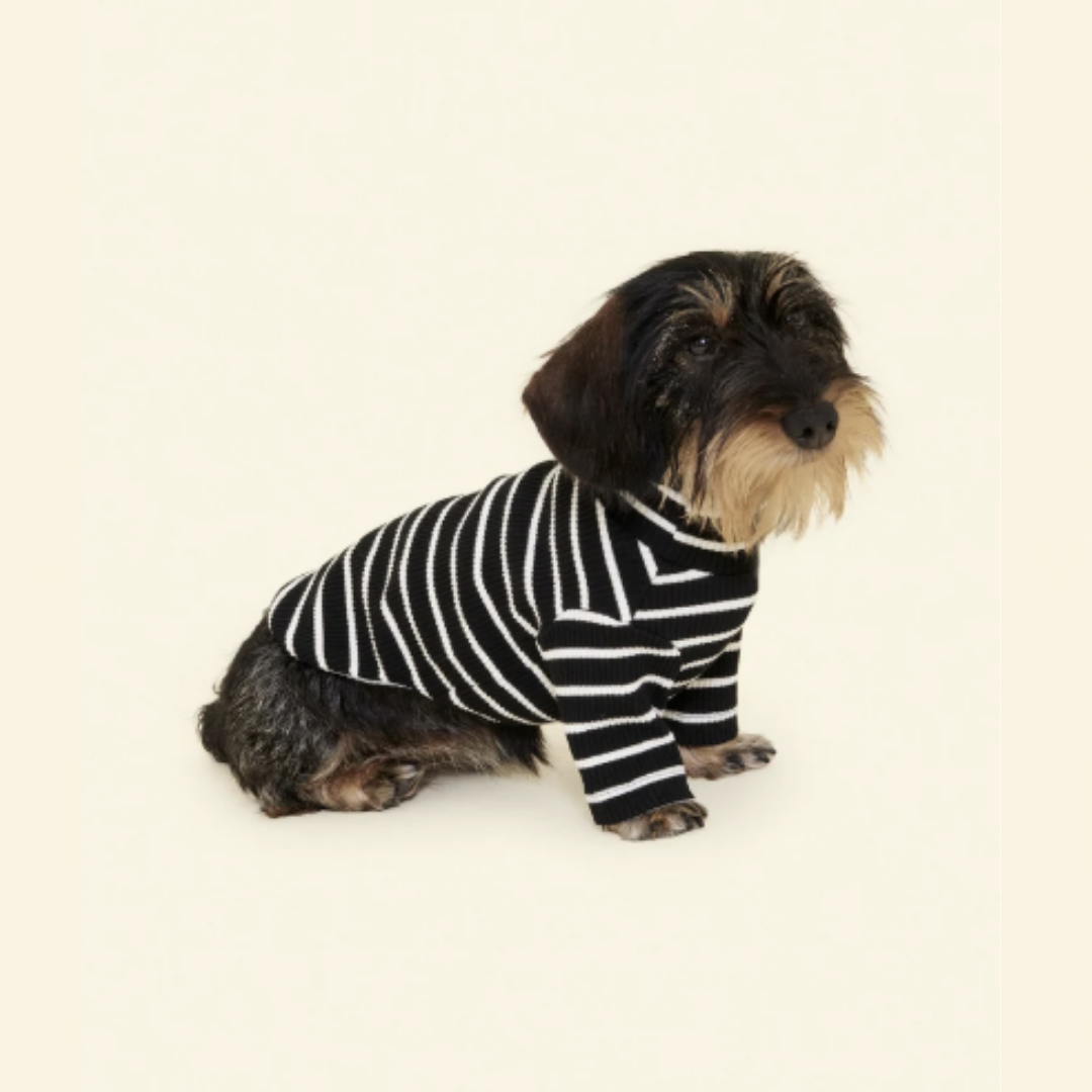 Café in Paris White Striped Sweatshirt in Black