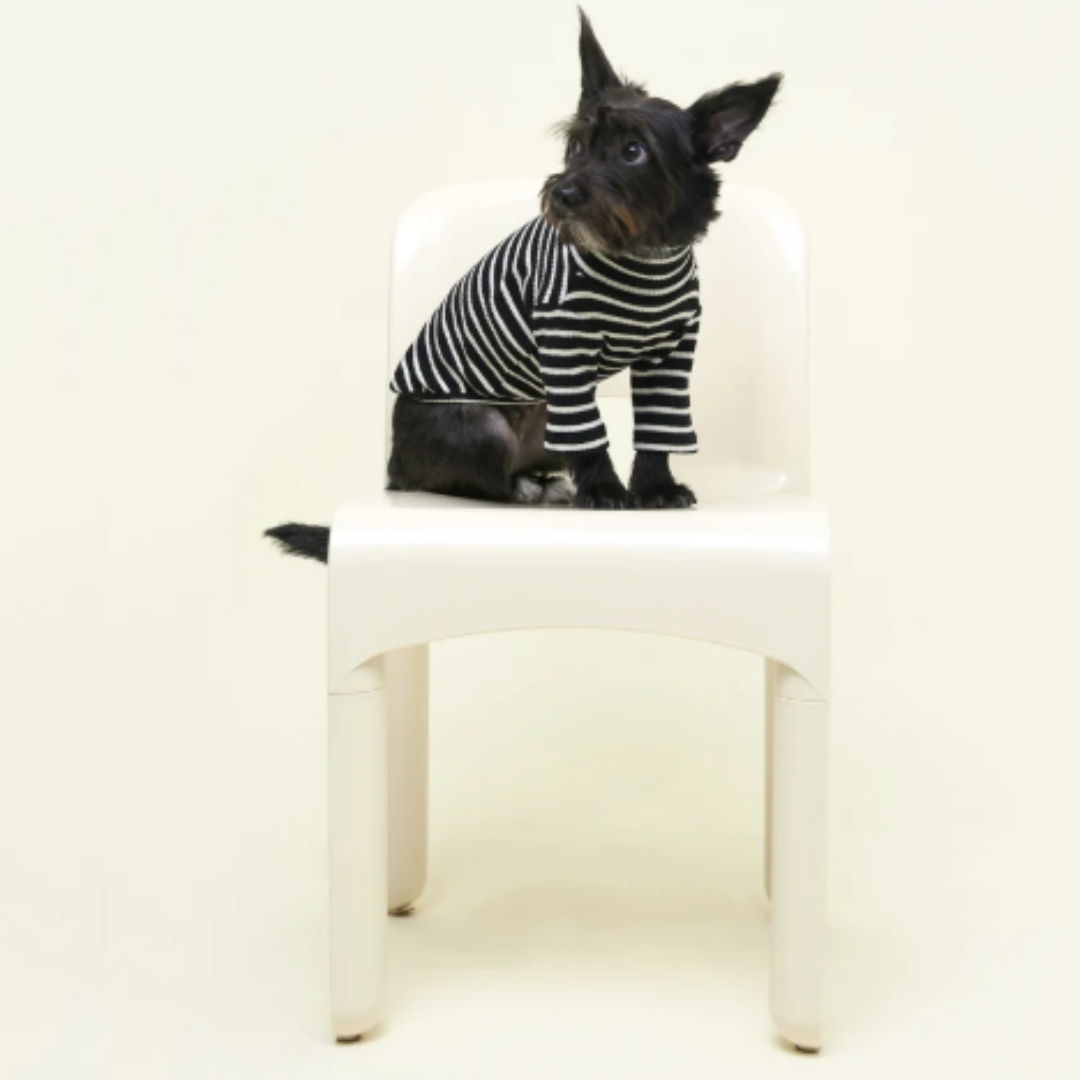 Café in Paris White Striped Sweatshirt in Black