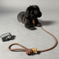 Ray All-in-One Dog Leash and Harness in Camel