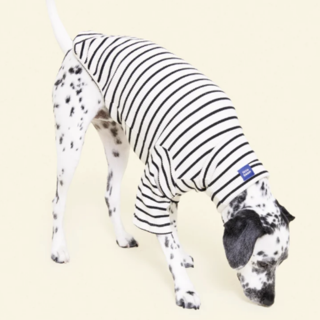 Café in Paris Black Striped Sweatshirt in White