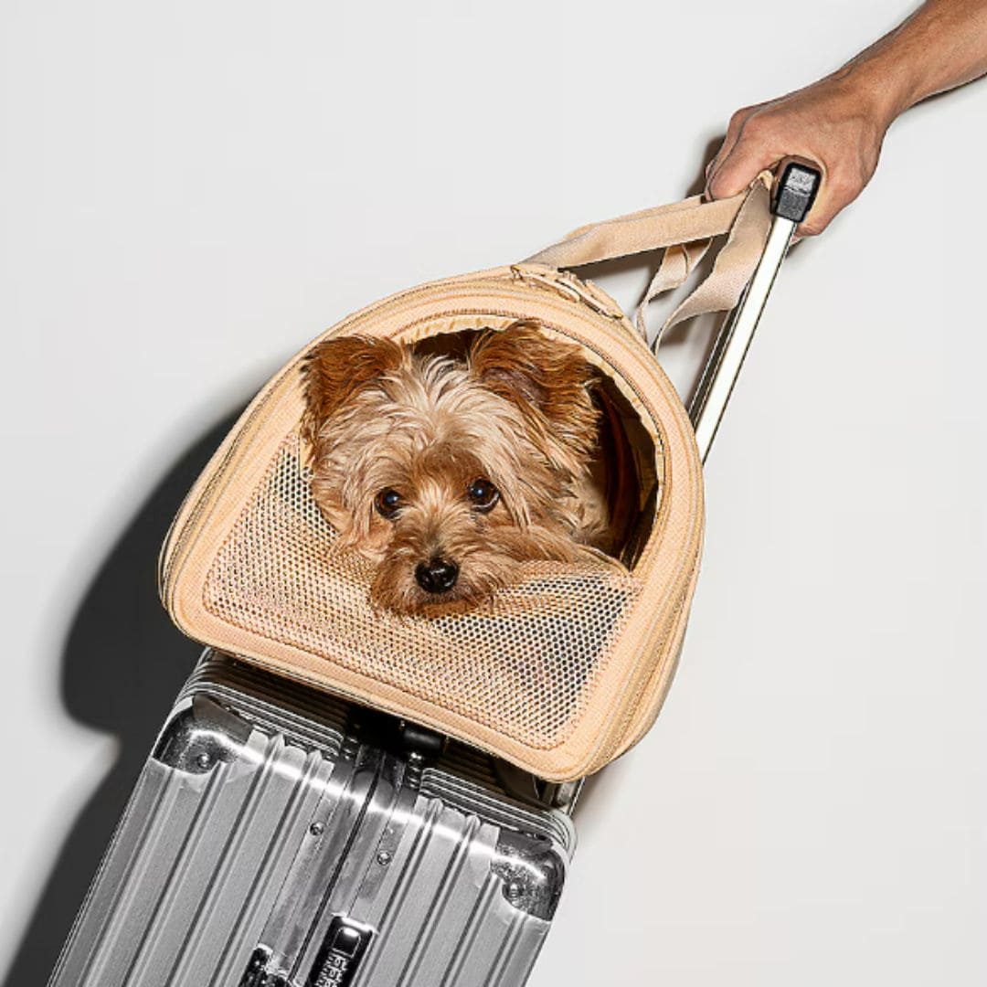 Travel Tsa Compliant Pet Dog Carrier in Tan