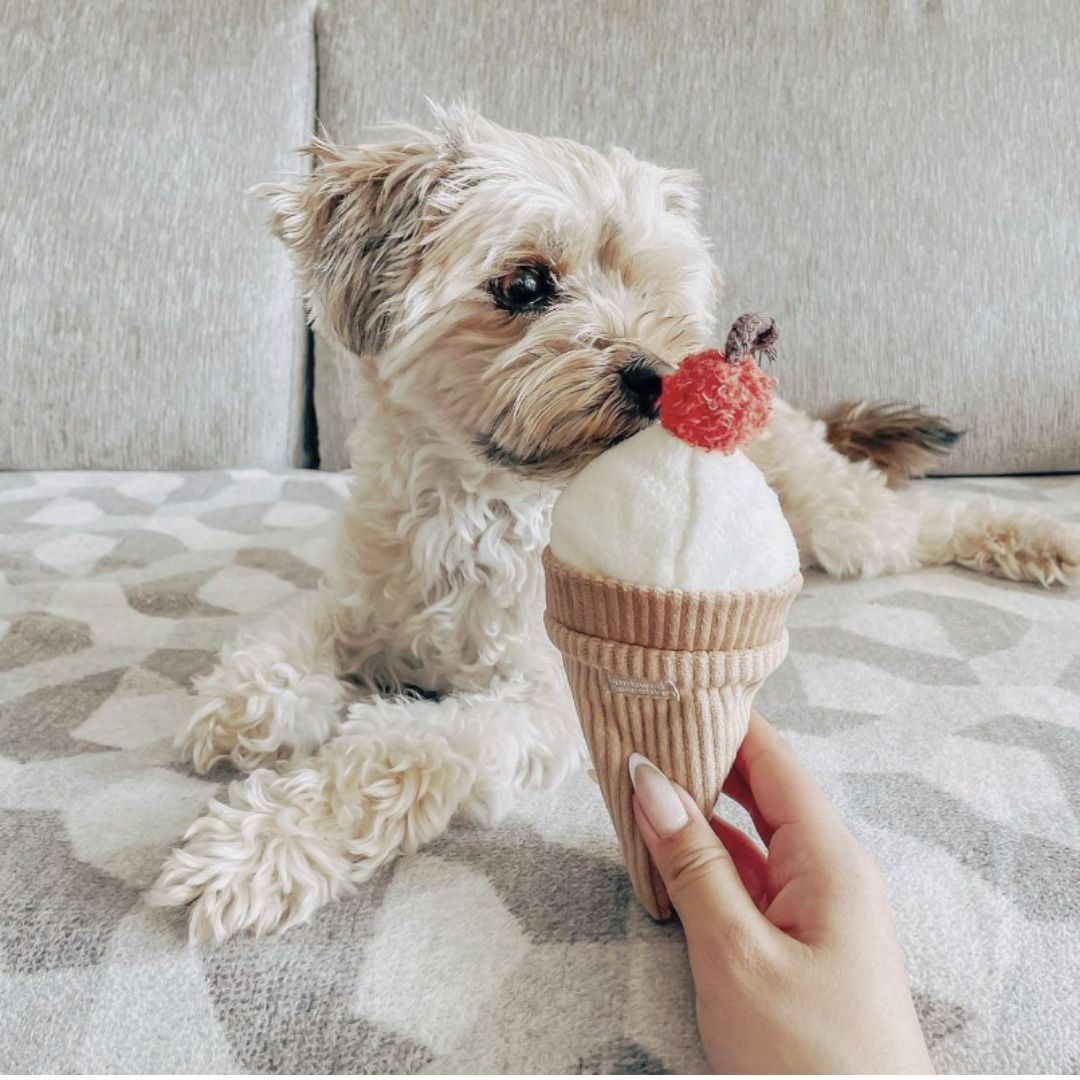 Ice-Cream Enrichment Dog Toy