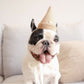 Ice-Cream Enrichment Dog Toy