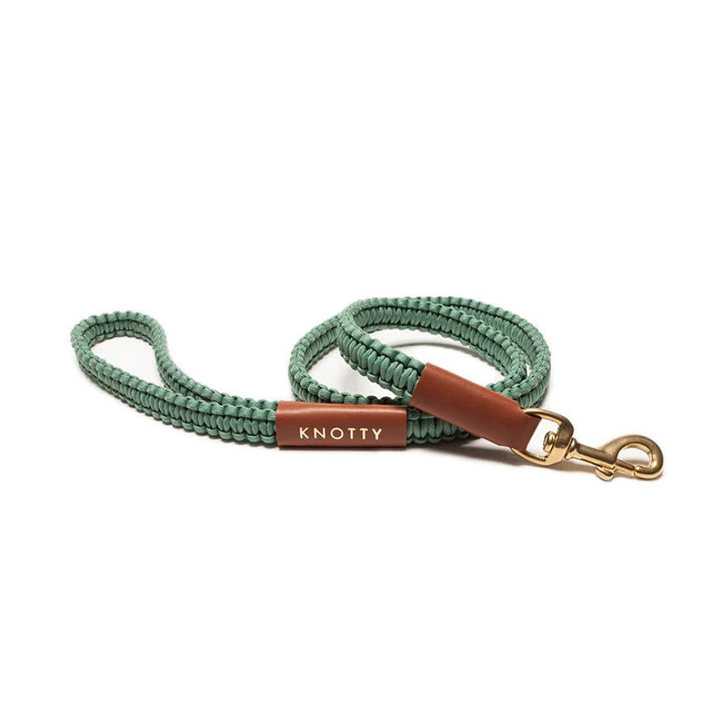 Braided Knotty Dog Leash in Mint