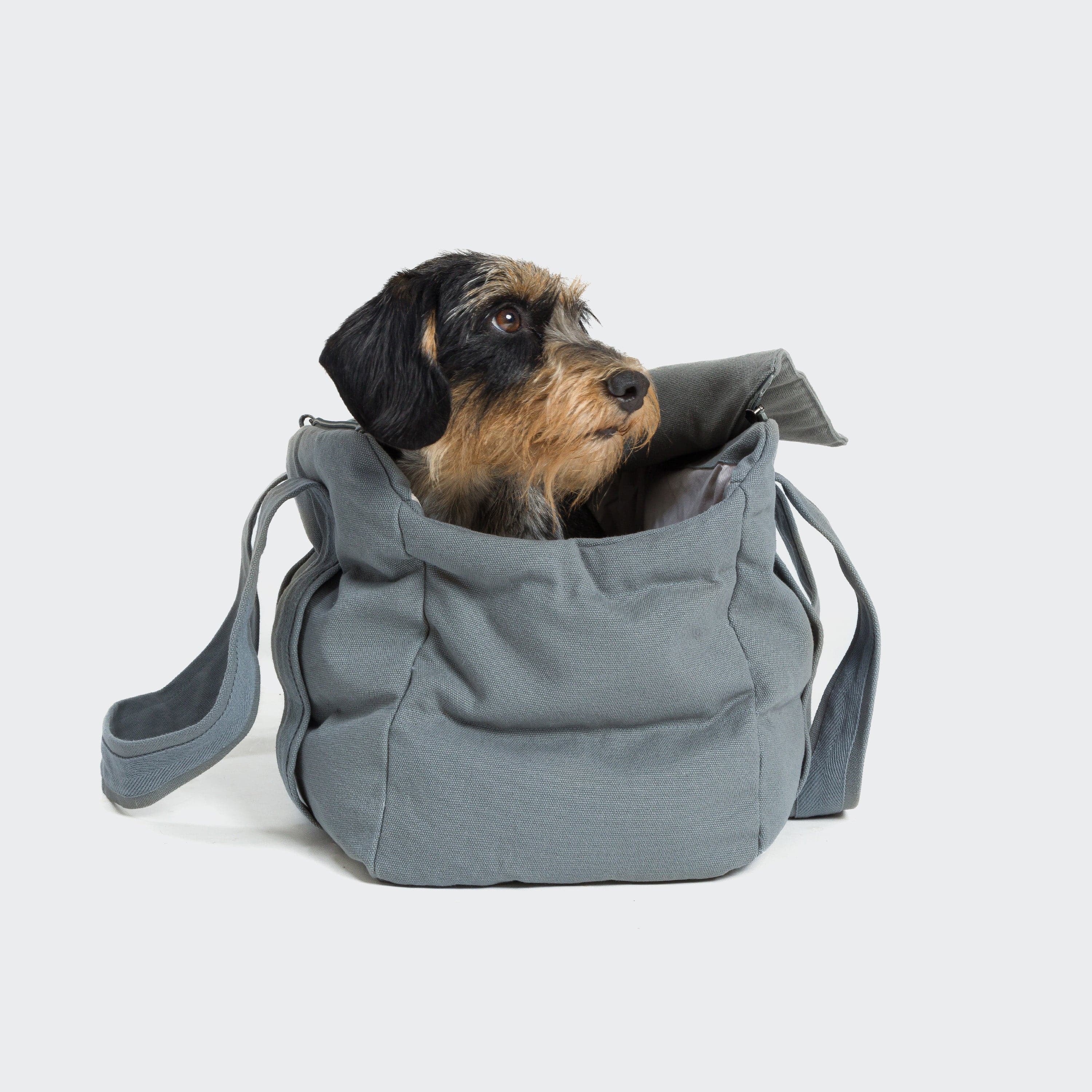 Pic2_Cloud7-Dog-Carrier-Bergamo-Canvas-Dog_CLO-BAG-BER-00SG.jpg