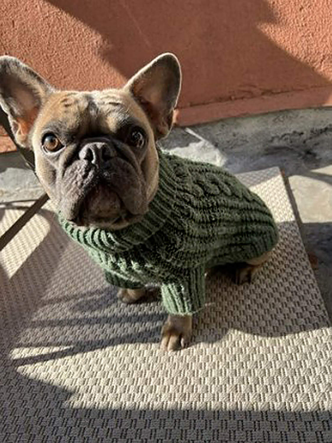 Fisherman Dog Sweater in Green