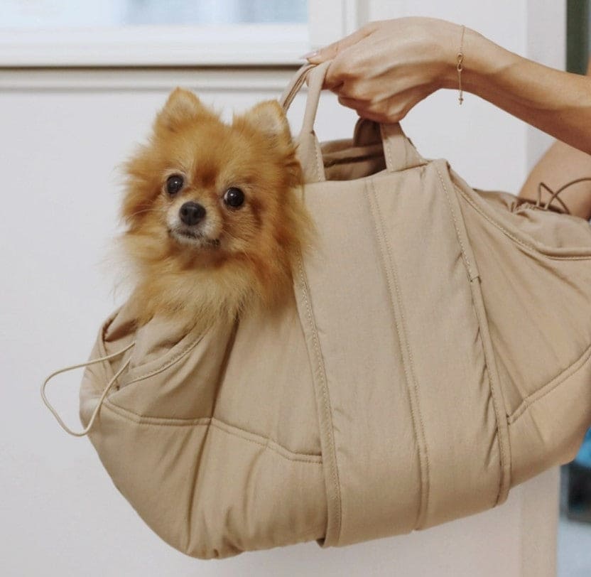 Olla Dog Carrier in Camel