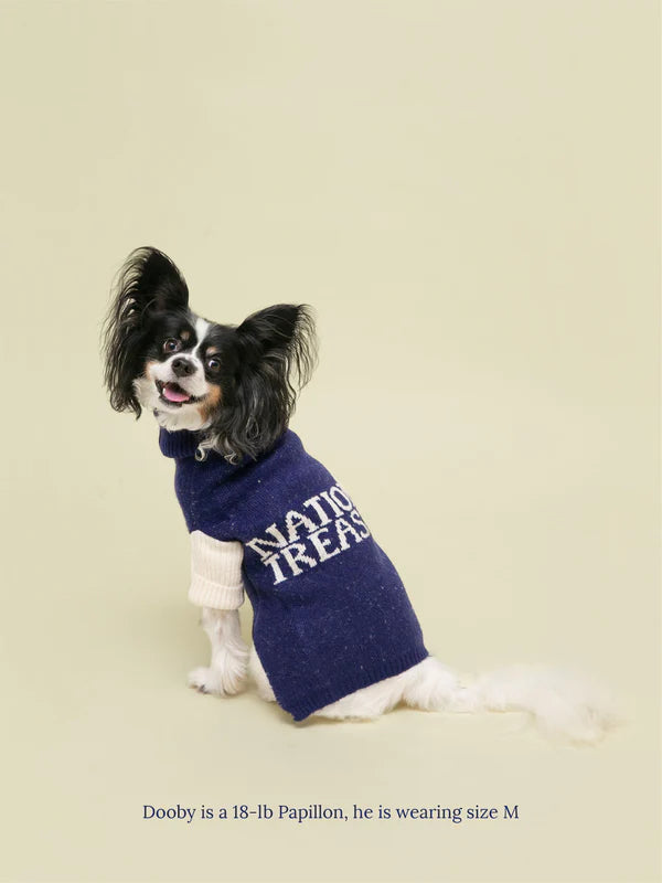 National Treasure Dog Sweater